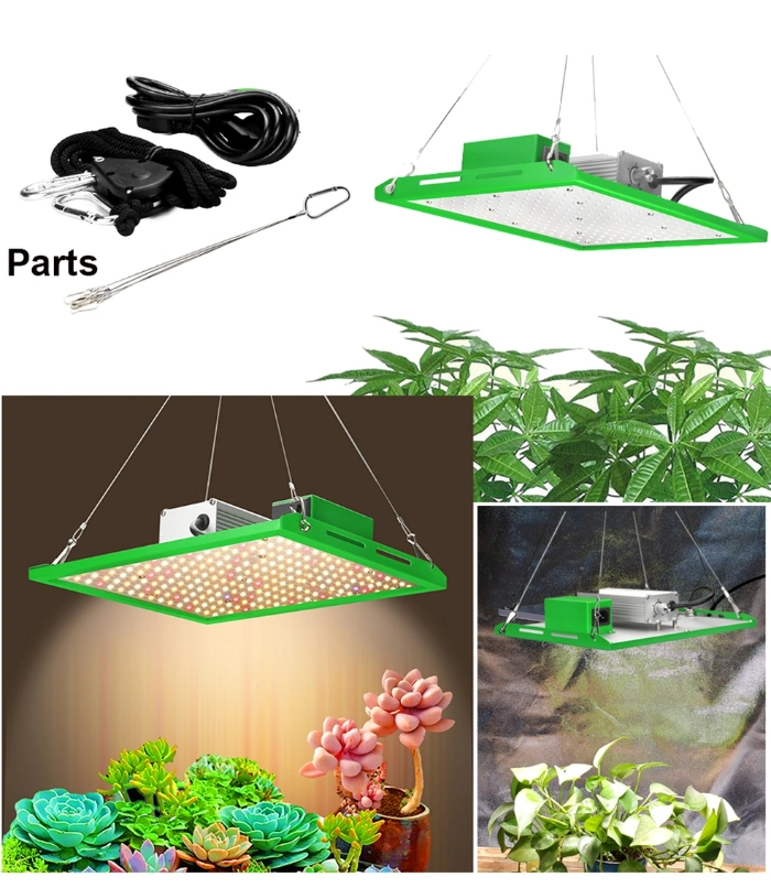 Plant Lighting 100W LED Grow Light Quantum Board with Reflector