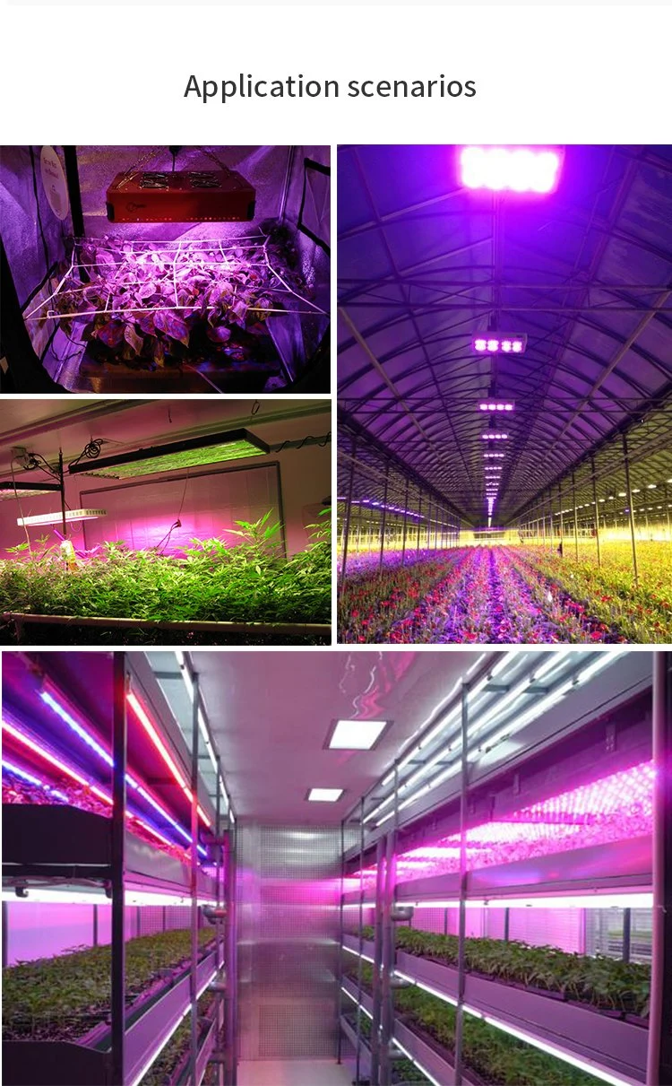 Hot Product 600W 660nm Commercial Hydroponics Full Spectrum LED Grow Light