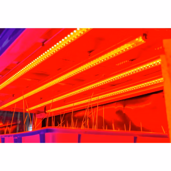 Capannone da giardino resistente di alta qualità IP65 Illuminazione idroponica interna regolabile Lampada commerciale Lampada da coltivazione a LED a spettro completo Shenzhen per piante da interno