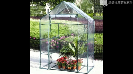 Mini serra pop-up con copertura trasparente, casetta per la crescita delle piante protetta, tenda per fiori portatile, riparo per giardino, esterno e cortile