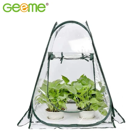 Fornisci la mini serra Amazon con una copertura in plastica trasparente per la casa dei fiori, una tenda per la coltivazione di piante pop-up portatile per il giardino esterno
