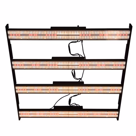 Redfarm Sistema idroponico Sistema di coltivazione indoor Luci progressive a LED commerciali Luce Bud Booster da 1000 W