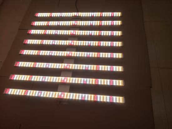 Lampada LED COB/SMD da 50 W/75 W/80 W/100 W/150 W/300 W/400 W/450 W/500 W/600 W/650 W/700 W/800 W/900 W/1000 W /1200 W/1500 W