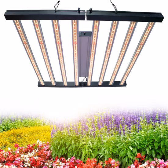 Luce di coltivazione verticale commerciale per piante mediche a spettro completo 320W/6802/1000W Bar Spydr LED
