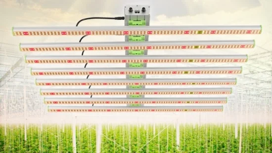 Luci di coltivazione a LED commerciali per interni a spettro completo 4 * 4FT con ampio ingombro CE RoHS FCC